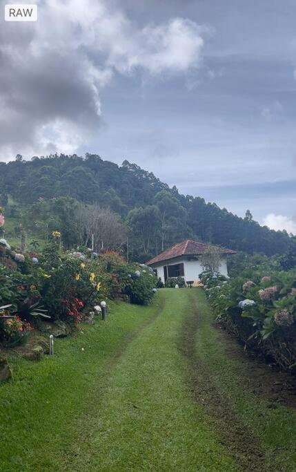 Sitio Com Piscina Natural E Cascata, Com Linda Vista Em Lumiar. Екстер'єр фото